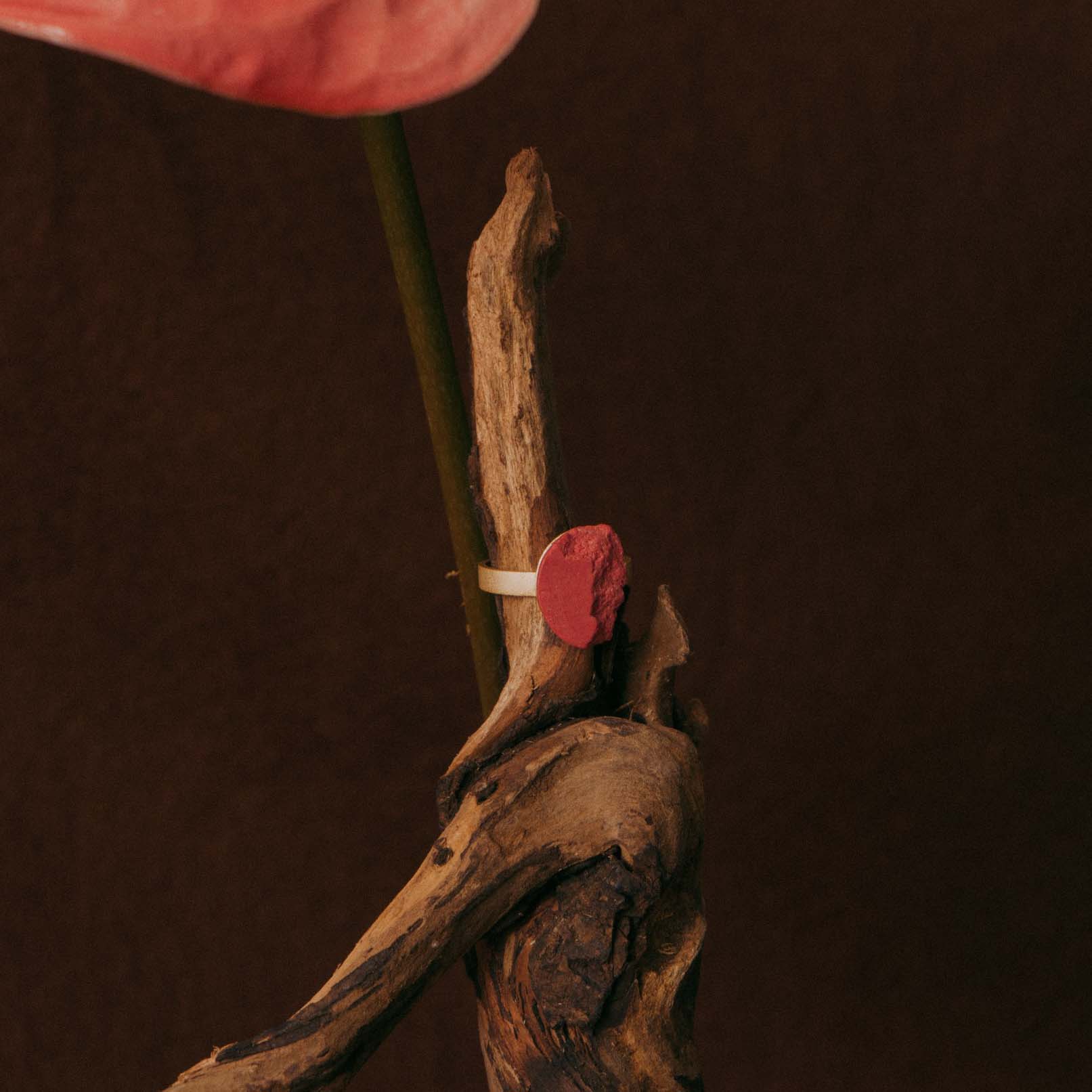 Anillo Curva Mini Dorado